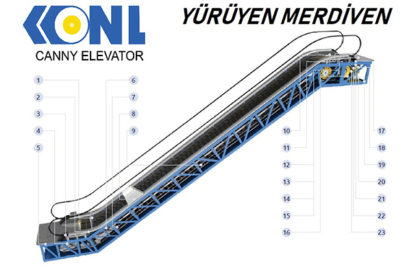 YÜRÜYEN MERDİVEN